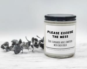 Please Excuse the Mess - Coconut Soy Candle