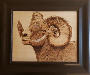 Big Horn Ram
