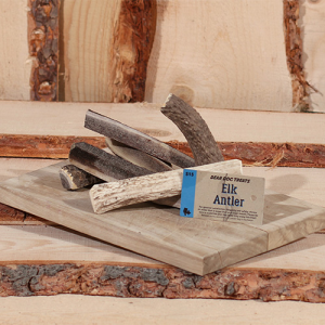 Elk Antler - Medium
