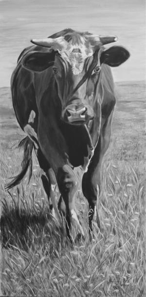 The Steer