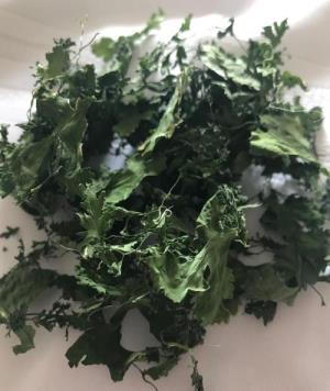 Dried Cilantro  (resealable bag, 4g)