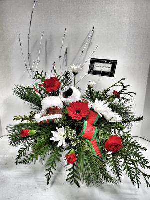 Flower Arrangement - Cozy Cuddles