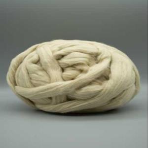 Easy to Spin Cotton Sliver - Green