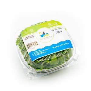 Baby Arugula (clamshell, 60g)