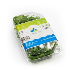 Cilantro (Clamshell, 15g)