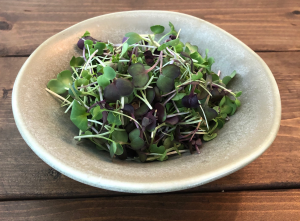 Brassica Blend