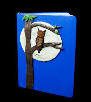 Moonlight Owl