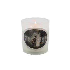 \Quiet Forest\ Candle