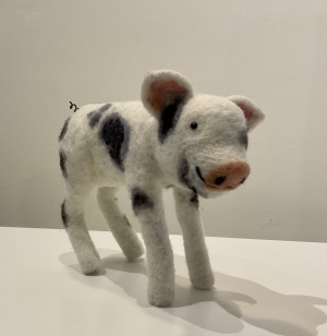 Spotty Pig