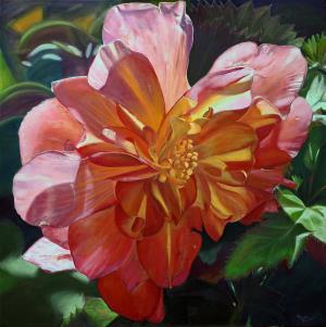 Begonia in Orange Cascade