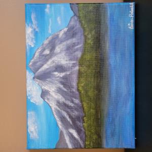 The Crowsnet Mountain