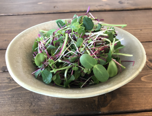 Garden Mix - [85 G]