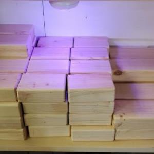 Early Learning Blocks
