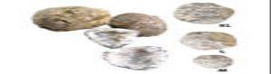 Whack & Crack Discovery Geodes