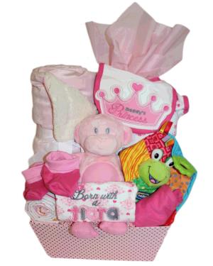 Baby basket
