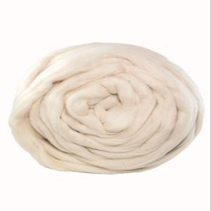 Easy to Spin Cotton Sliver - Acala