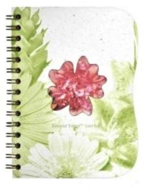 Florista Clavel Journal