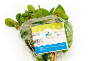Rainbow Swiss Chard (bunch, 80-100g)