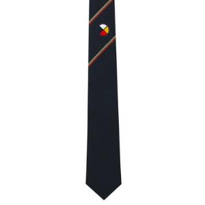 Silk Tie - Medicine Wheel