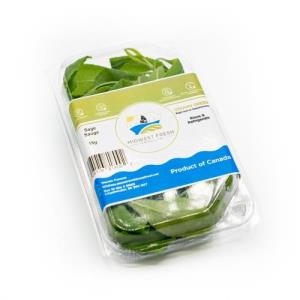 Sage (Clamshell, 15g)