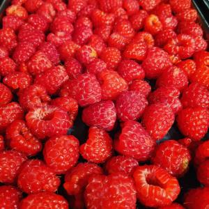 Freeze Dried Raspberries