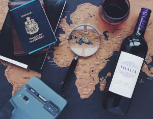 Complementary Travel Consultation