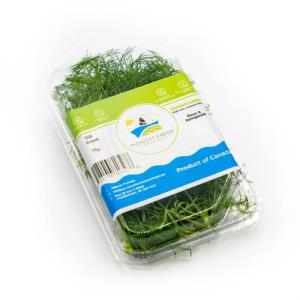 Dill Fernleaf (Clamshell, 15g)