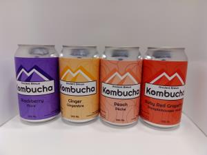 Mixed Pack Kombucha - 24 Pack