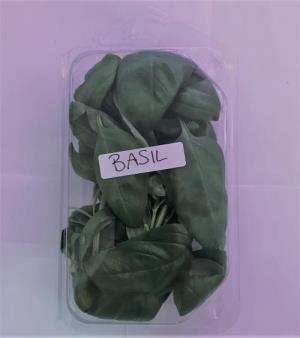 Sweet Basil (Clamshell, 15g)