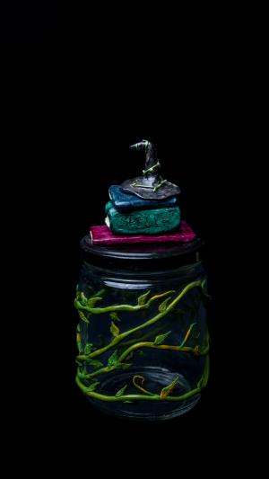 Witchy Herbal Stash Jar